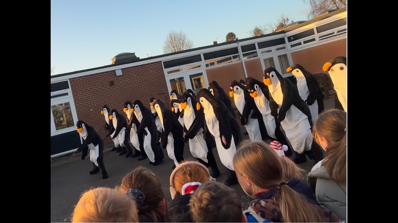 Meadows Christmas Penguins 2025