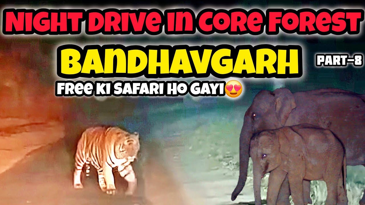 Night Drive in Core Forest | Bandhavgarh Tiger Reserve | Sanjay Dubri to Virangna Durgawati #tiger