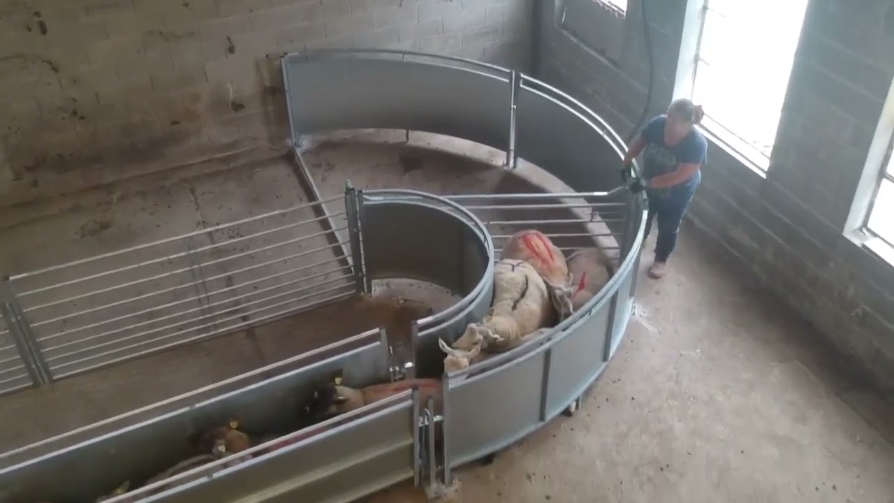 Parc de contenion Fixe OVIHANDLING