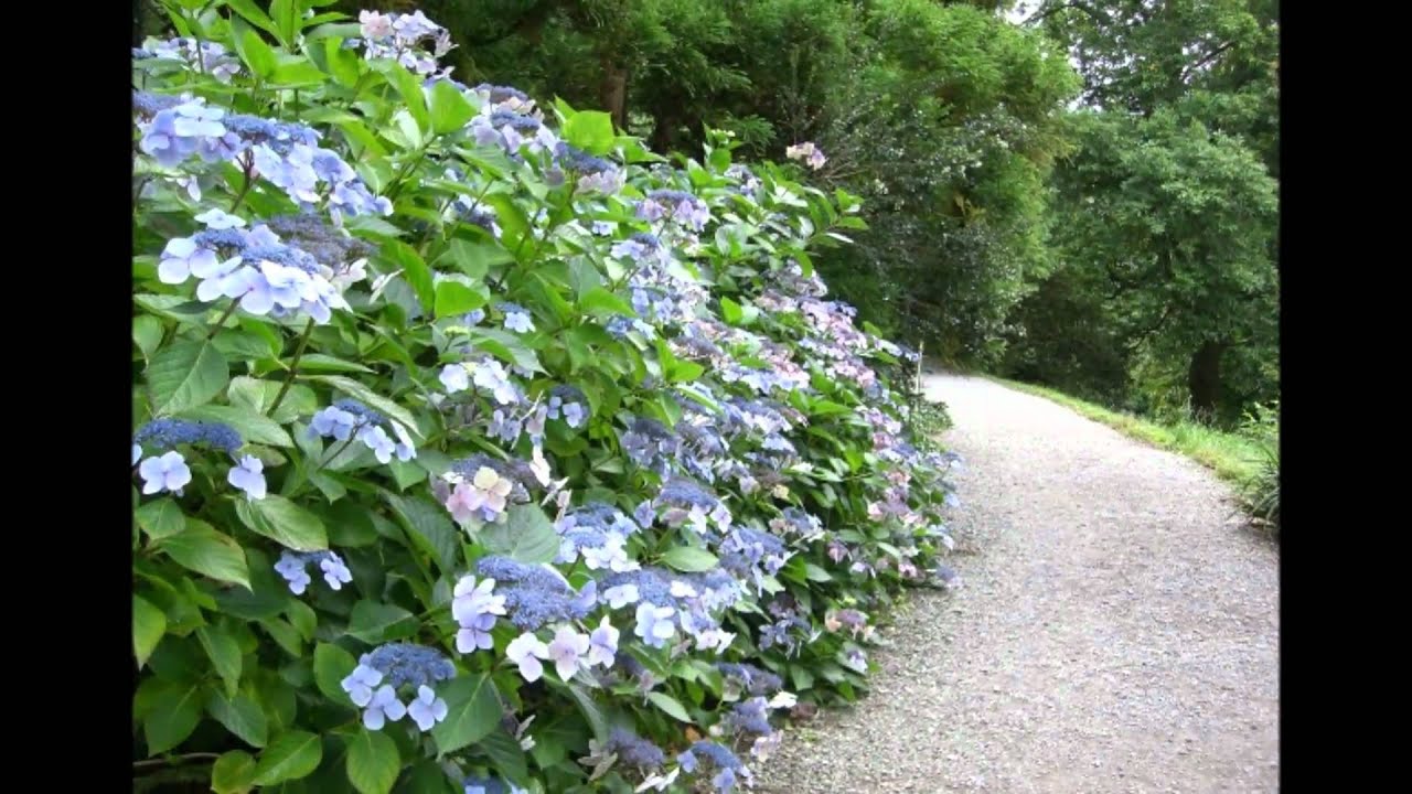 Agatha Christie's Greenway A Home In Devon.wmv