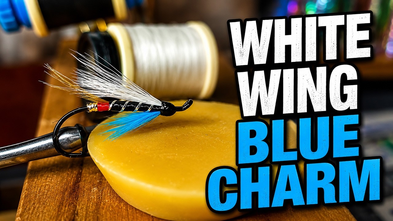 Tying The White Wing Blue Charm Atlantic Salmon Fly