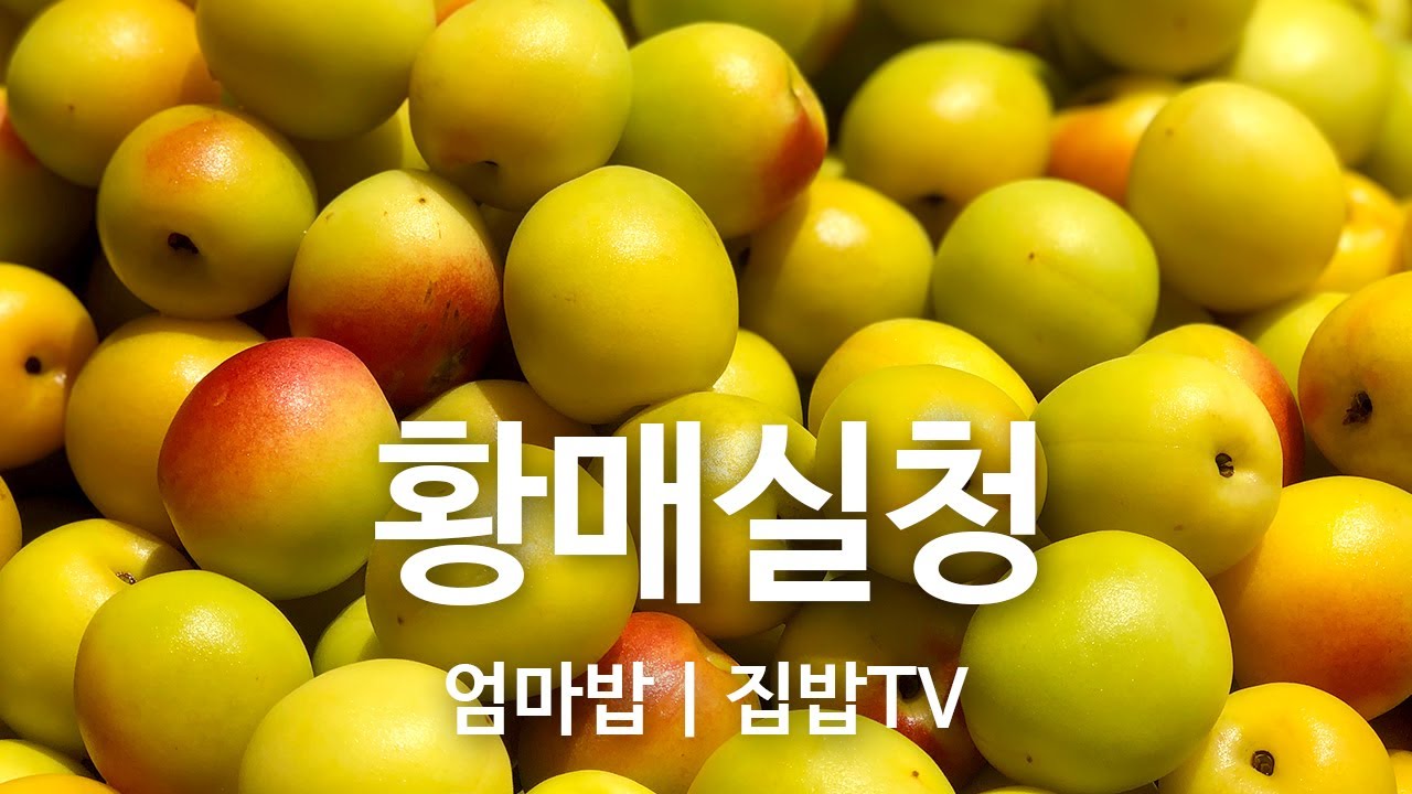 매실청 담그는법 | 매실 이렇게 씻어요! 이것만 보면 황매실청 담그는 법 마스터 가능, 꿀팁가득 상큼함 가득 영상 보세요