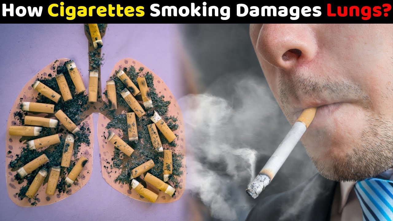How Cigarette Smoking Damages Lungs | Explained with Visuals