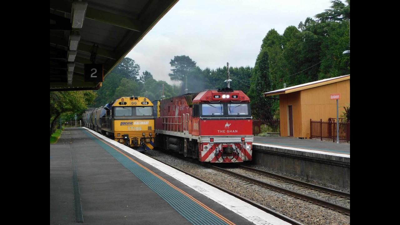 A day in the NSW Southern Highlands- February 25, 2026.