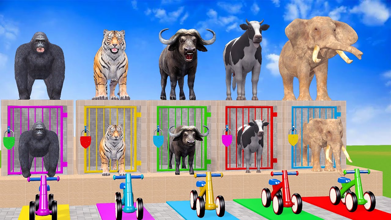 Long Slide Game with Cow Elephant Gorilla Hippopotamus Tiger 3d Animal Game Funny 3d Animals