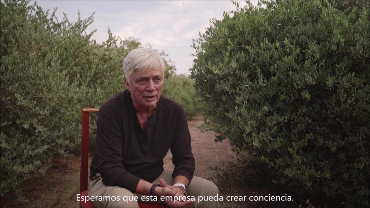 Weleda y el cultivo biodin&aacute;mico de jojoba en Argentina