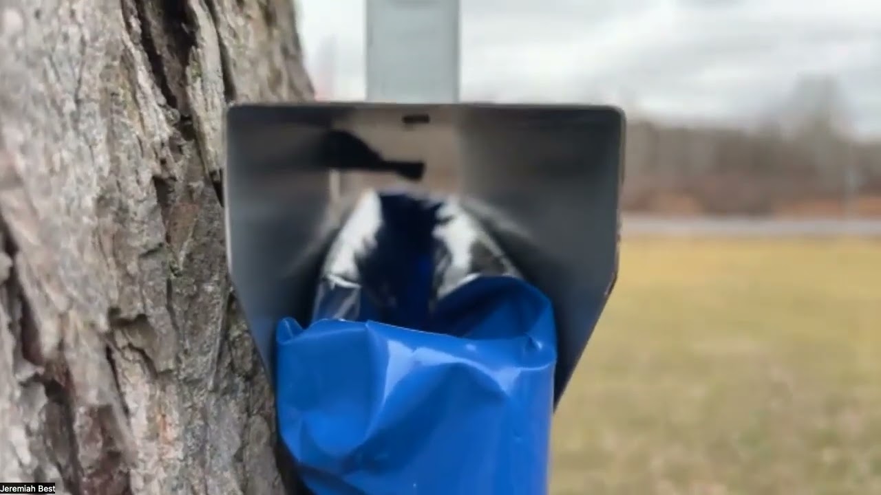 Maple Sugaring Virtual Field Trip - March 2026
