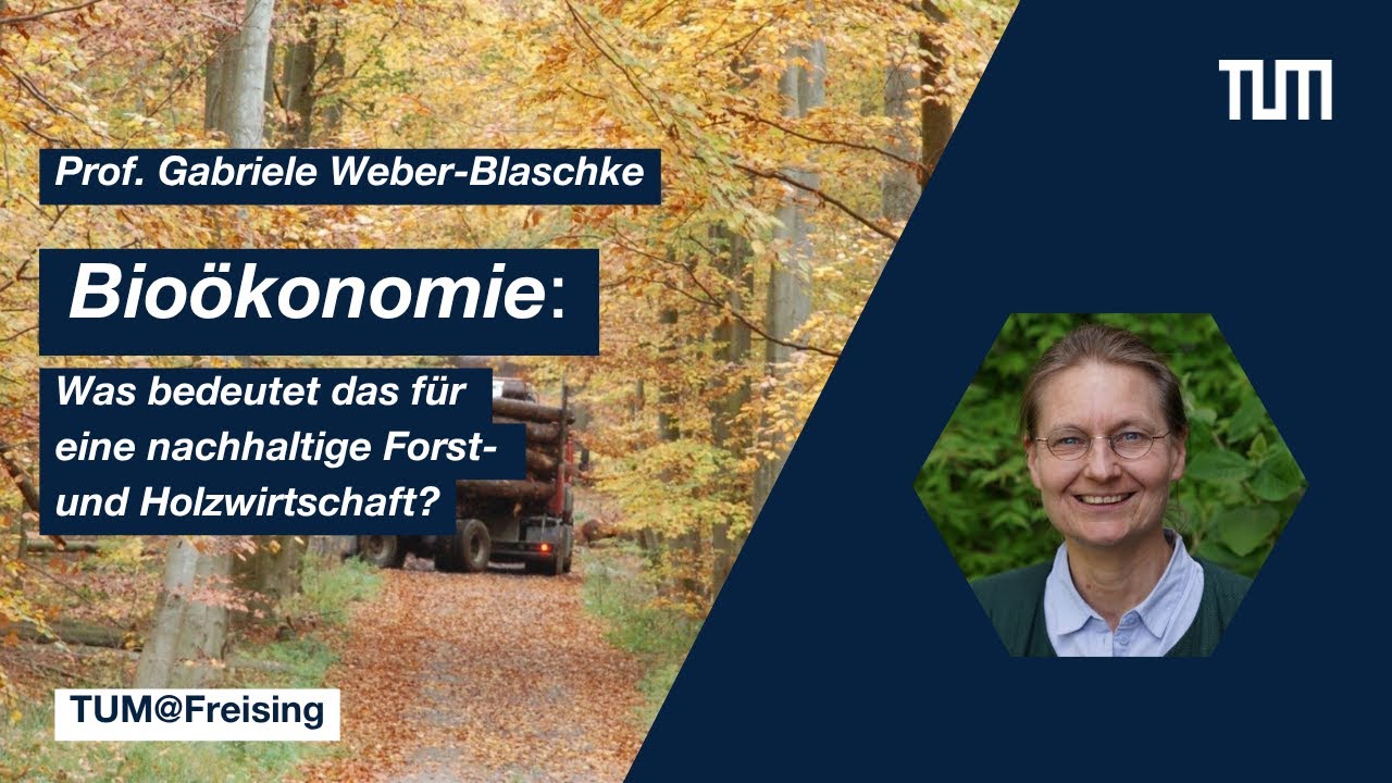 TUM@Freising: Bioökonomie – was bedeutet das für eine nachhaltige Forst- und Holzwirtschaft?
