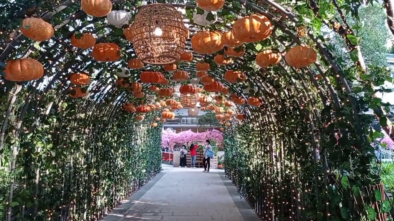 Pumpkin Tunnel at Urban Farm Yoho Mall Yuenlong