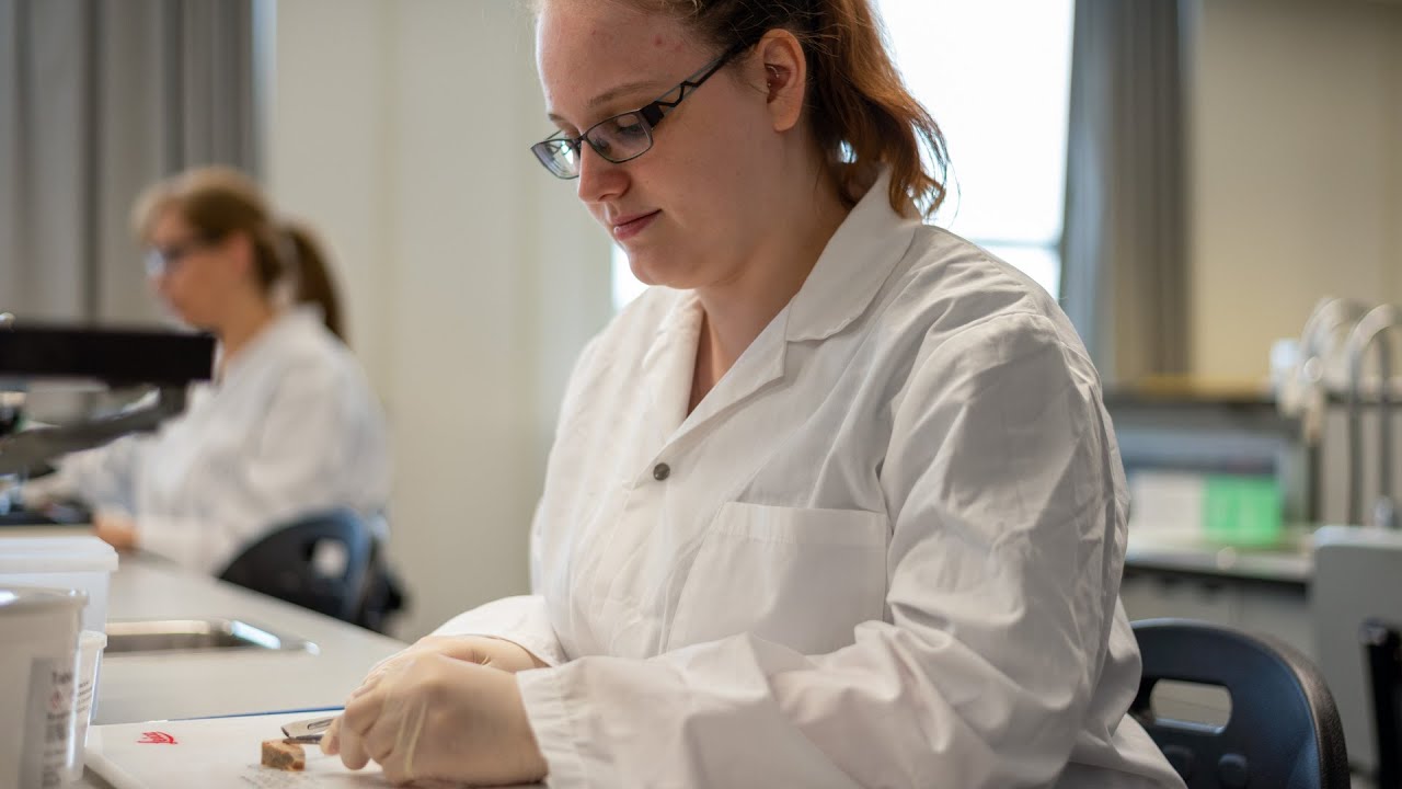 Technologie d’analyses biomédicales - Les techniques en histopathologie