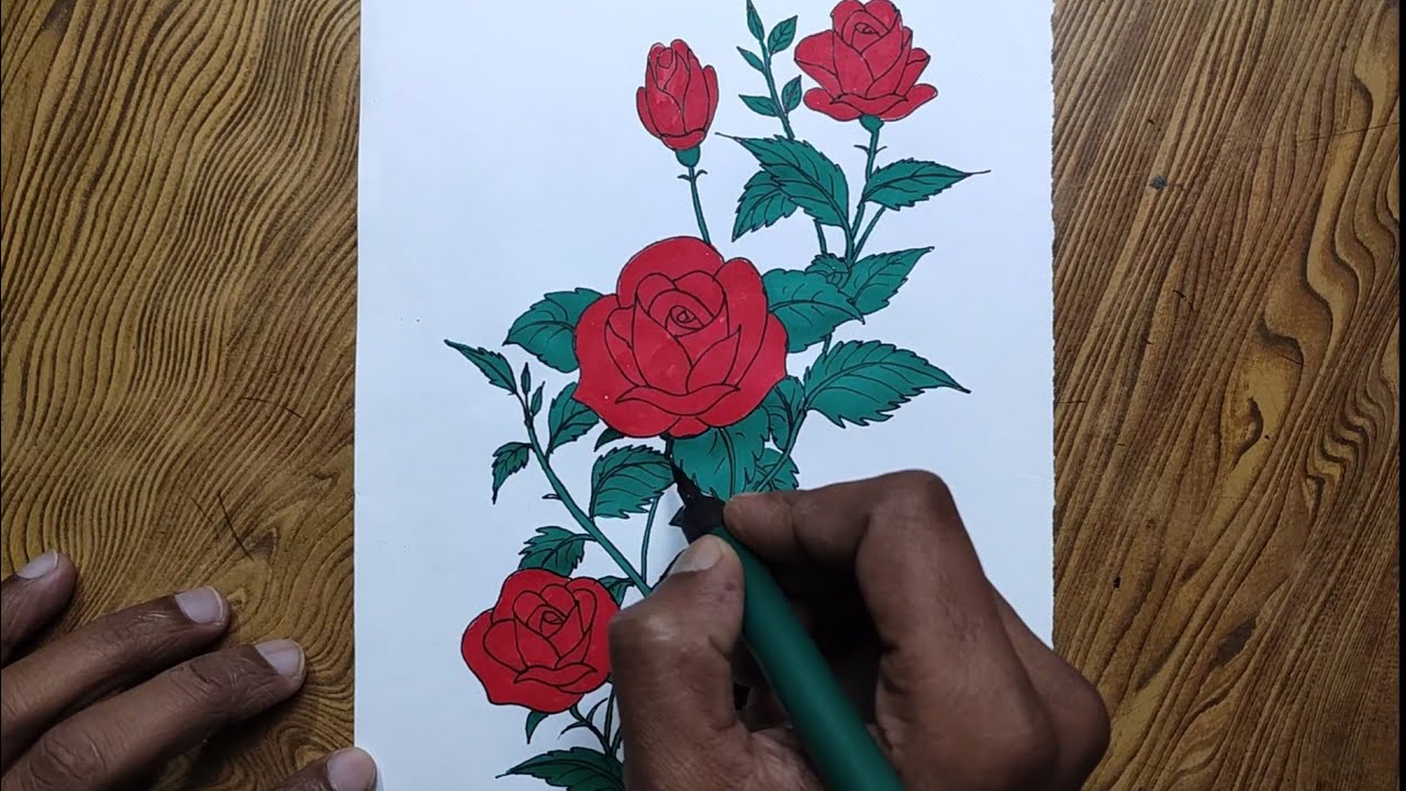 How to draw rose flowers/Rose flowers drawing