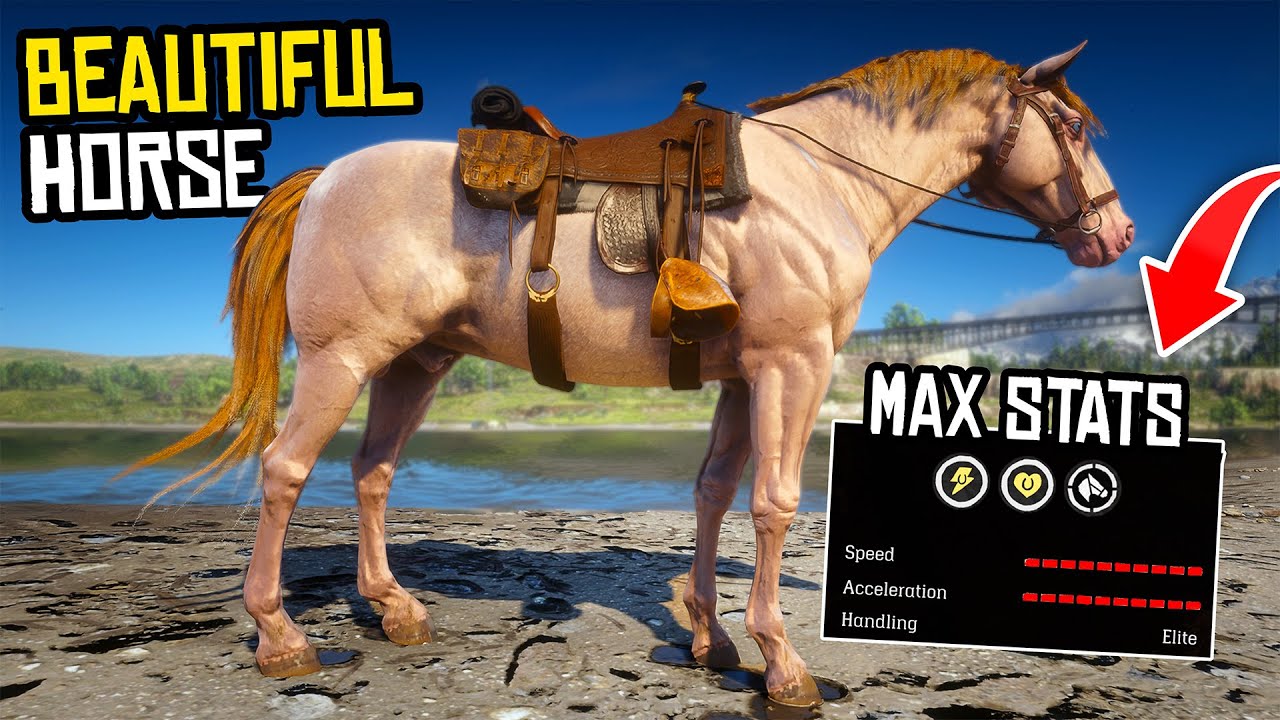 6 BEAUTIFUL Horses with the Highest Stats - Red Dead Redemption 2 Best Horses for John!
