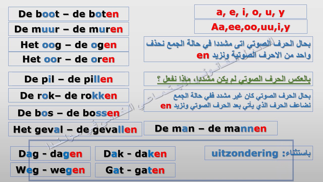 6 تعلم اللغة الهولندية: الدرس السادس الجمع والمفرد