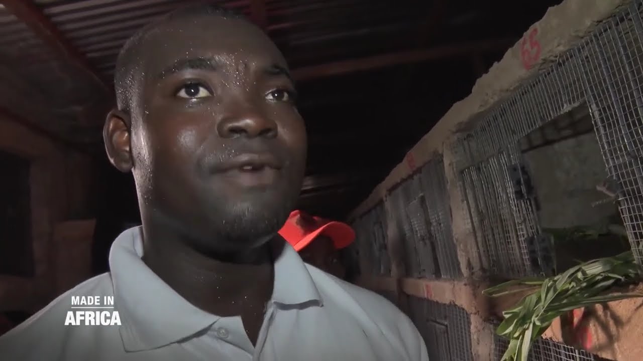 Made In Africa : profession, éleveurs d'agoutis (reportage)