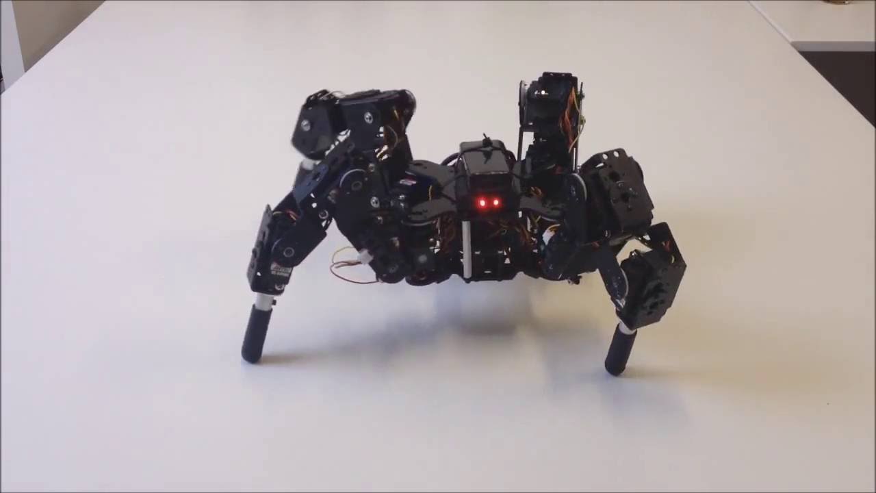 Quadruped robot 4DOF