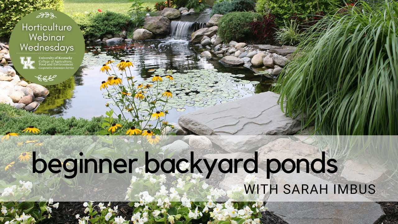 Beginner Backyard Ponds