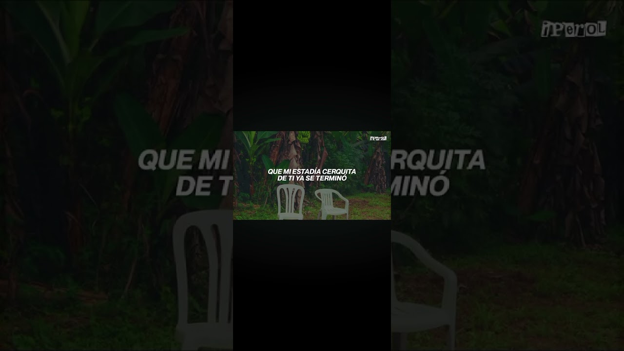 DtMf - bad bunny 