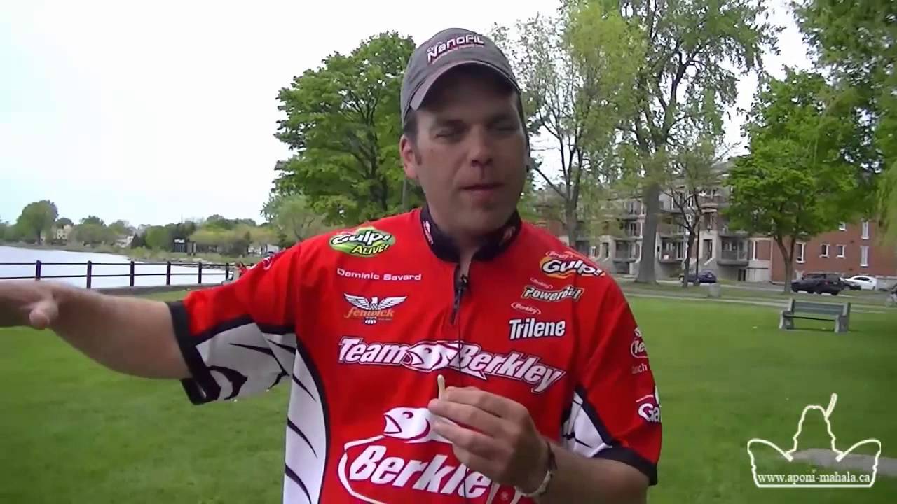 Techniques de p&ecirc;che de la truite mouchet&eacute;e