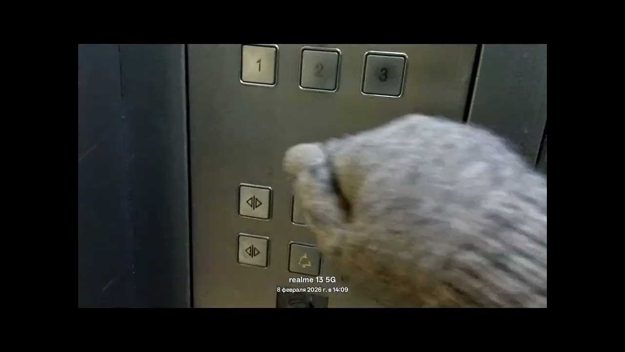 🔇Убрали музыку из пассажирского лифта WellMaks 2015 г.в (Барышевская Роща д, 24) 