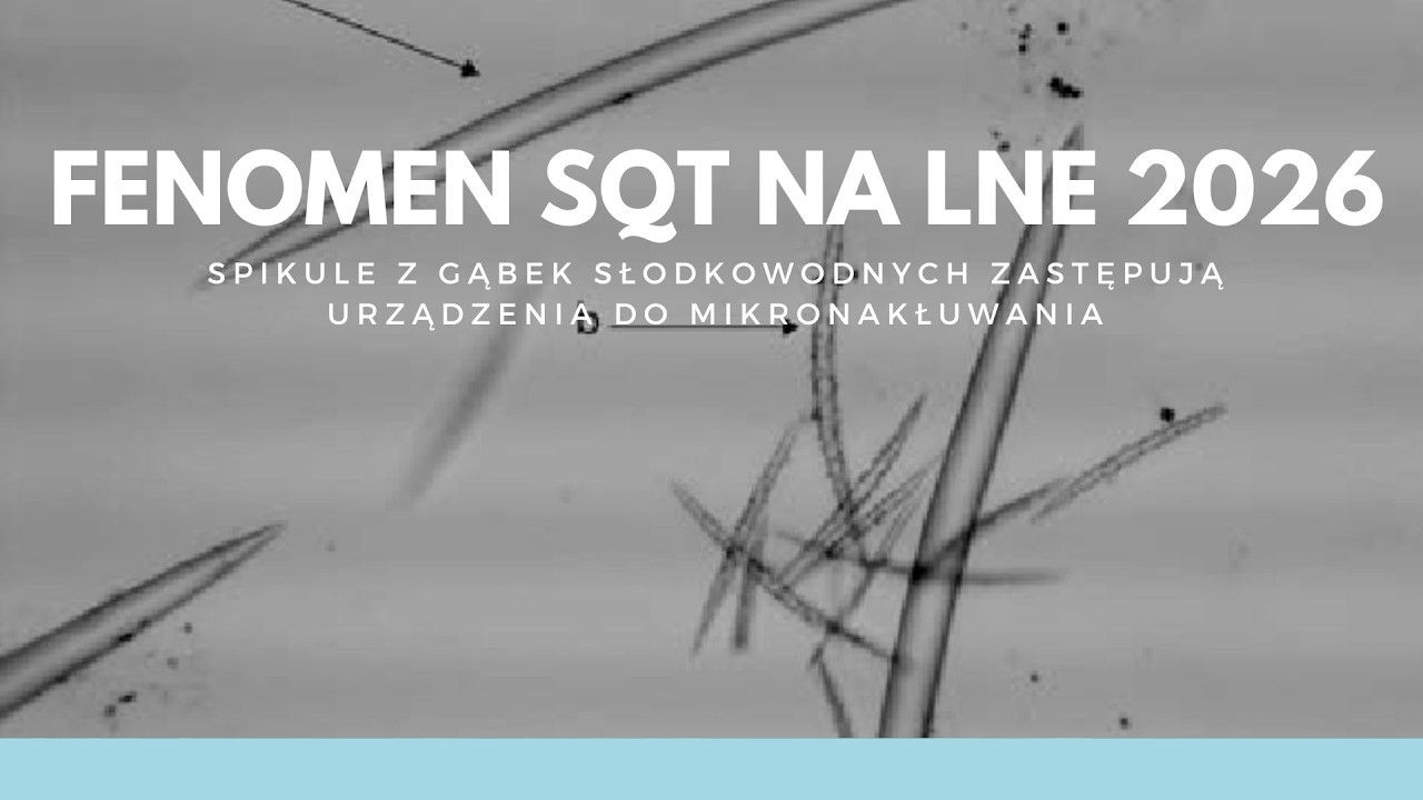 Fenomen SQT na LNE: Czy spikule z gąbek zastąpią mikronakłuwanie?