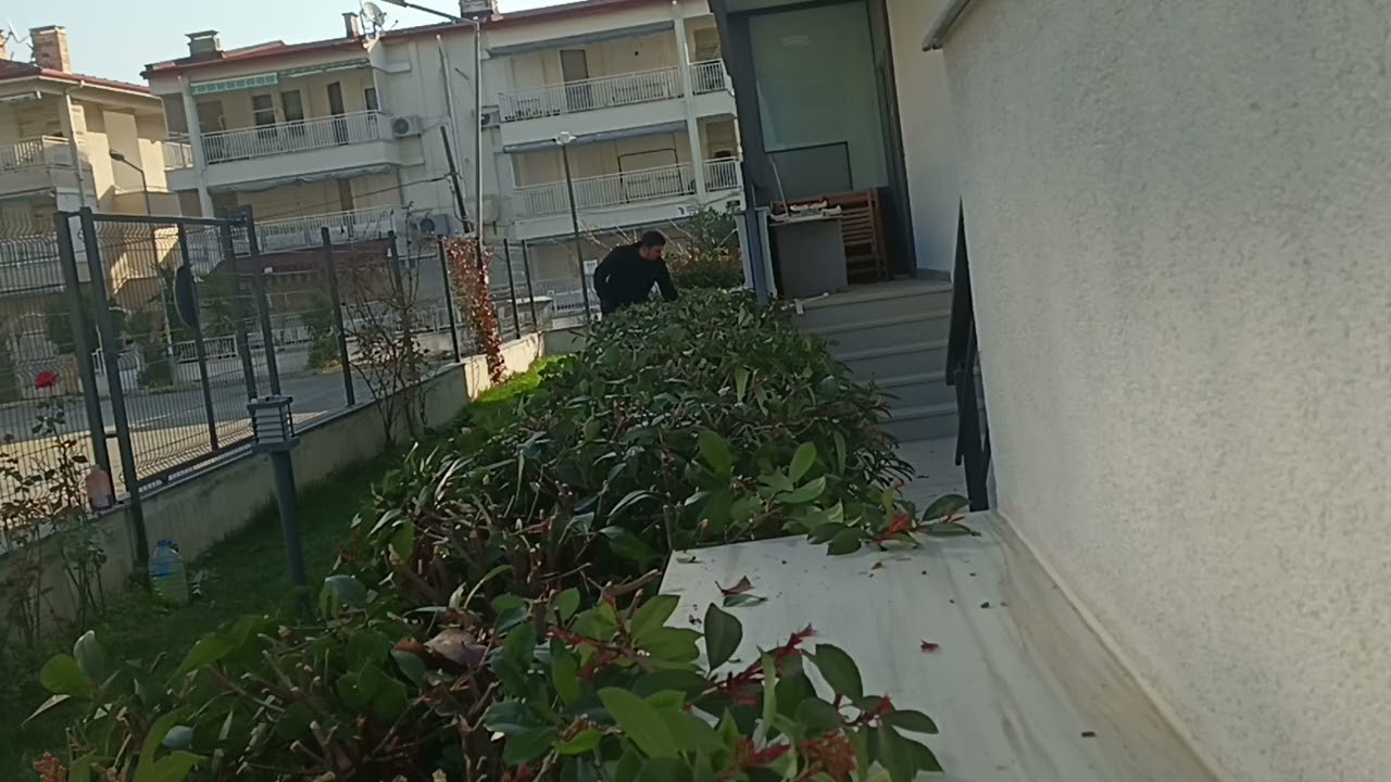 Palmera motorized trimmer brush pruning