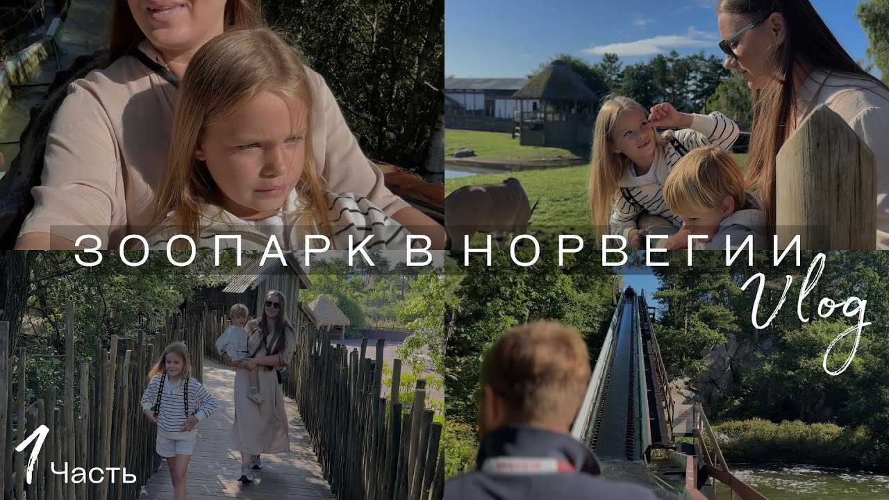 Зоопарк в Норвегии / Первый наш влог / Часть 1