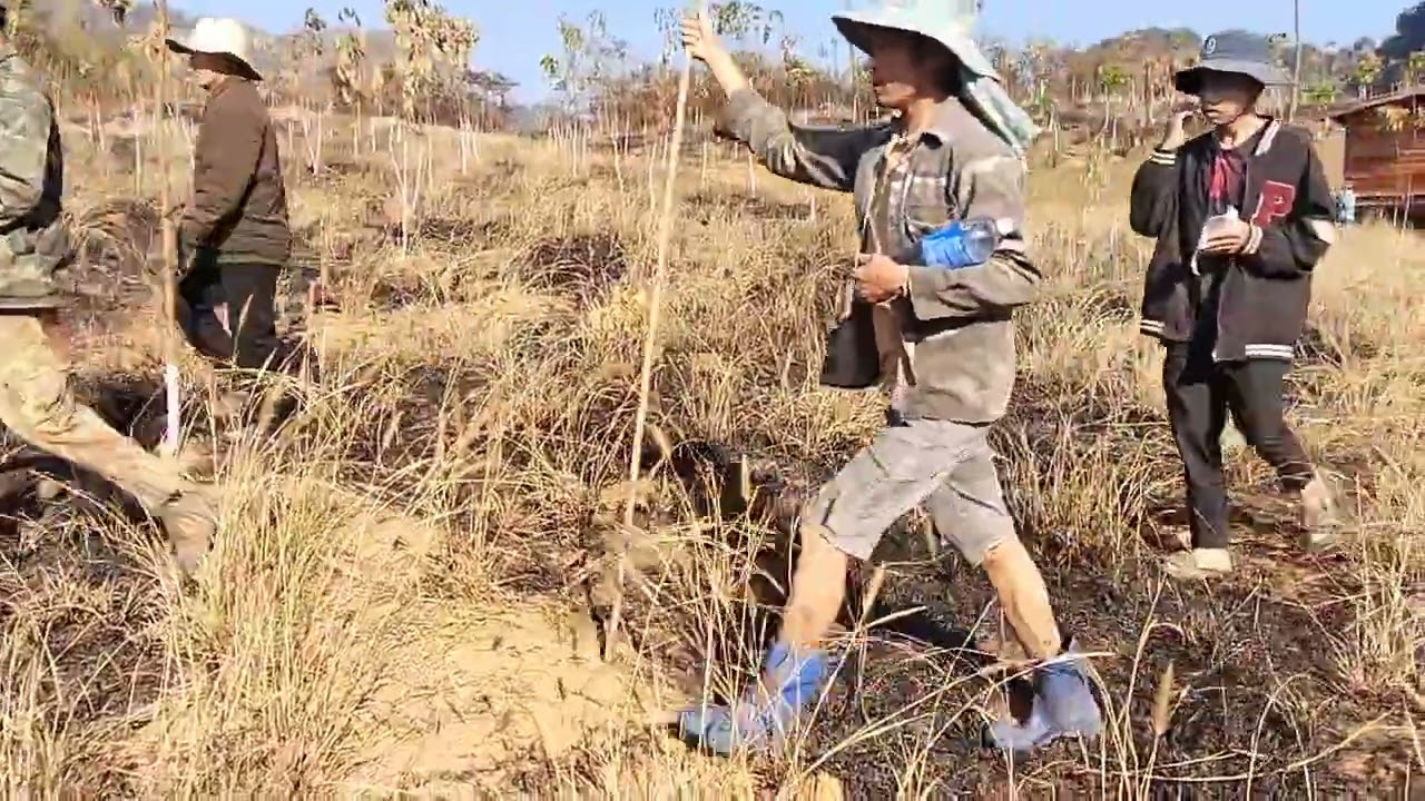 Kub ntoo tas kho siab heev nawb 