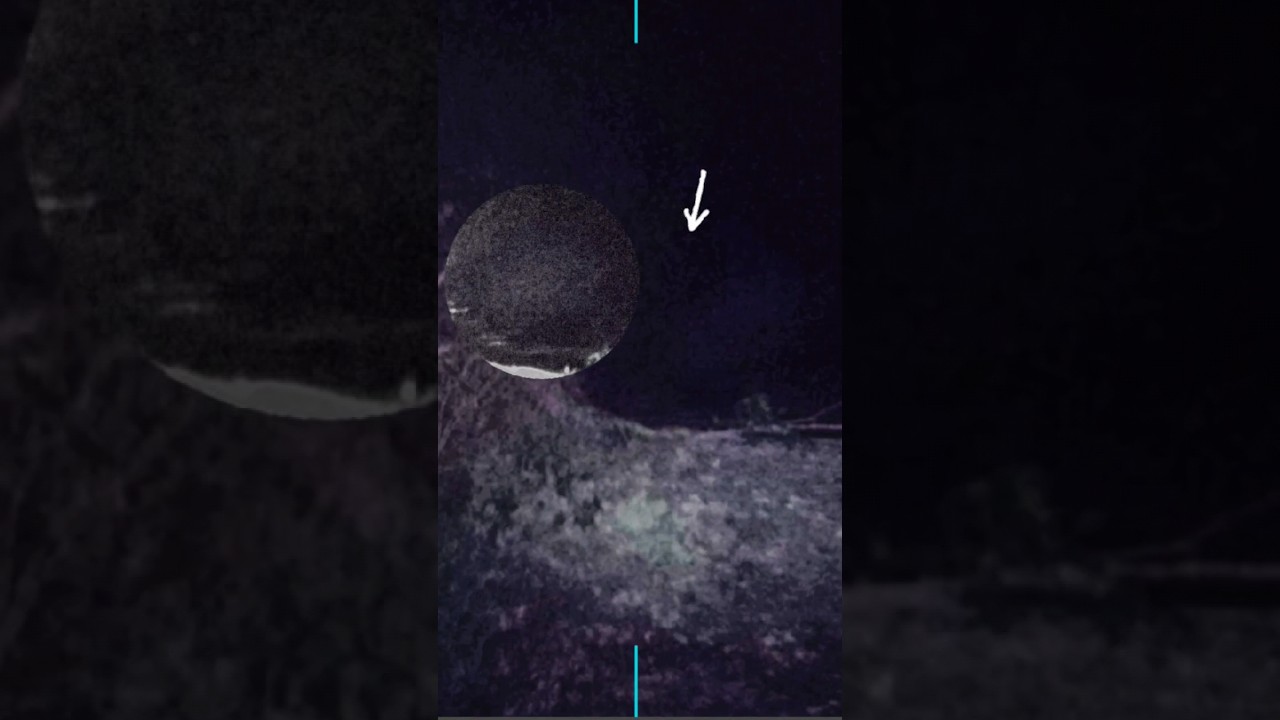Enda ponomnu ayurichu😱💀watch the videos#ghost #ghostoftsushima #tamilghoststory #tamilghoststories
