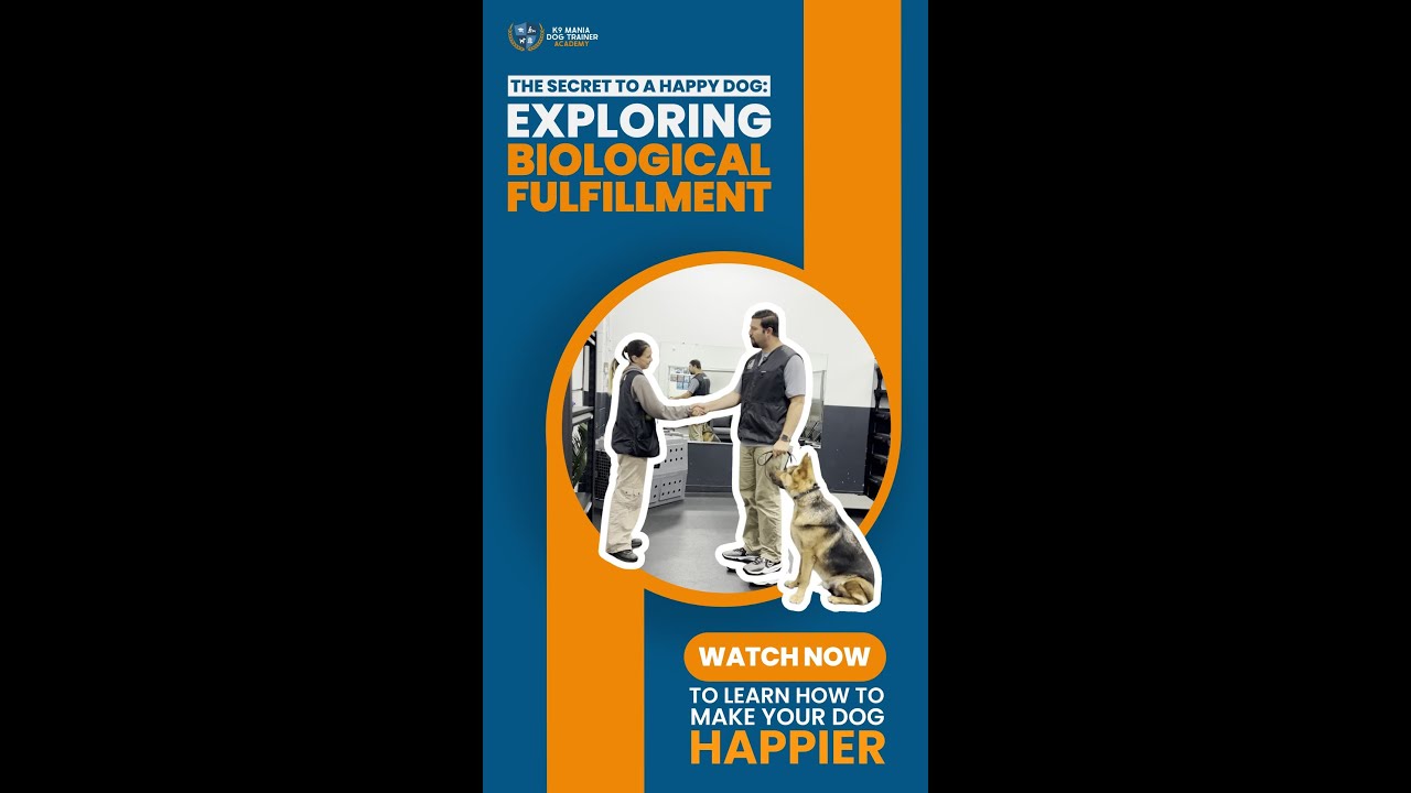 The Secret to a Happy Dog: Exploring Biological Fulfillment! #dogtrainerlife #dog #positivedogtraing
