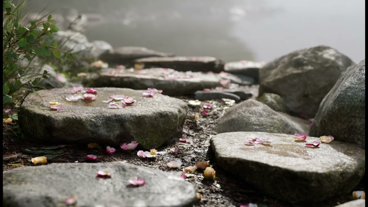 Japanese Garden EXPERT Shares Secret to Perfect Zen Stepping Stones