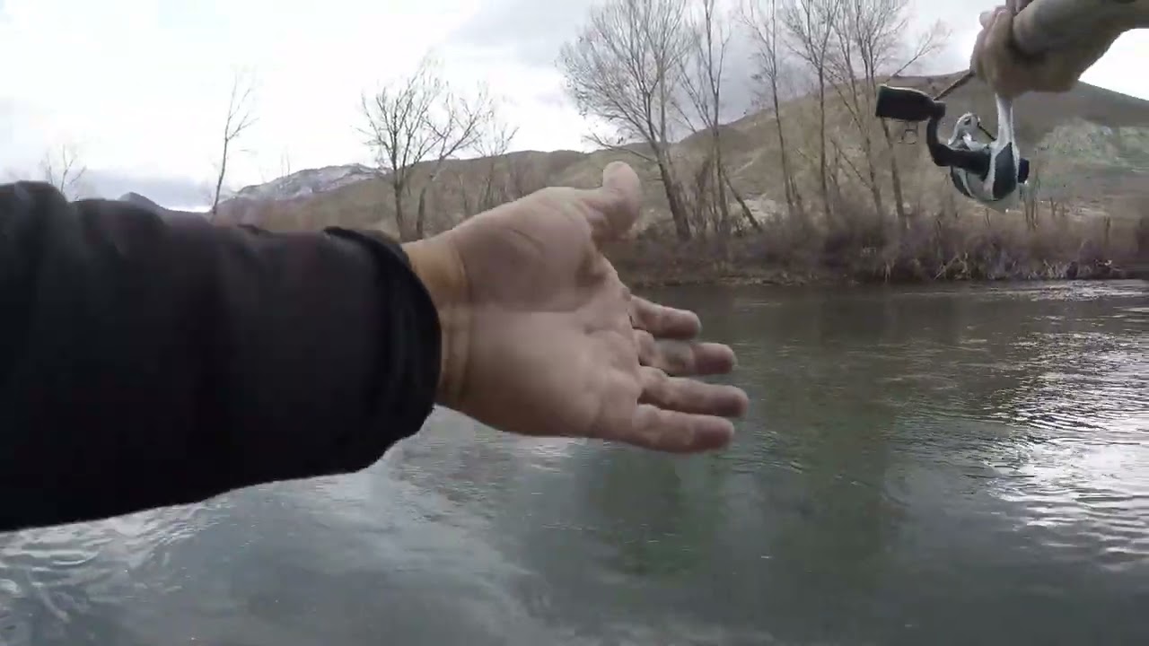 Nice Nevada Truckee Trout as a Storm Approaches (Classic WwA Patreon Feb 2024')