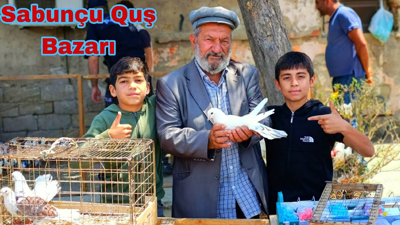 Sabunçu Quş Bazarı 22 iyun 2025