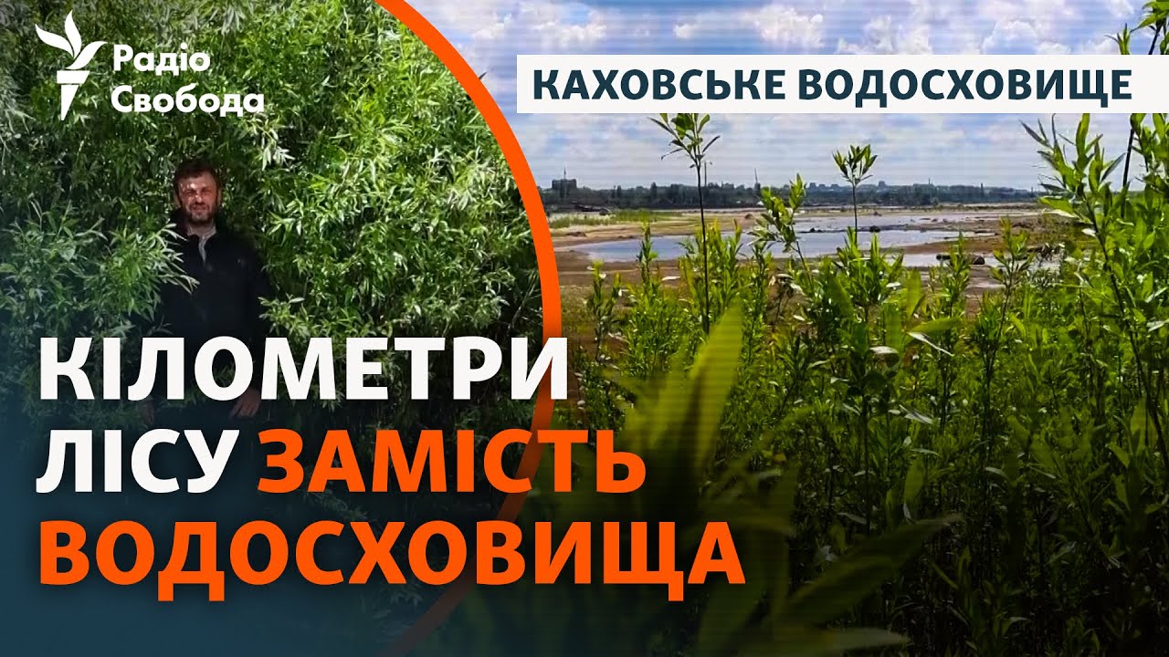 Дно Каховского водохранилища за два года после подрыва ГЭС: «Природа занимает освободившиеся ниши»