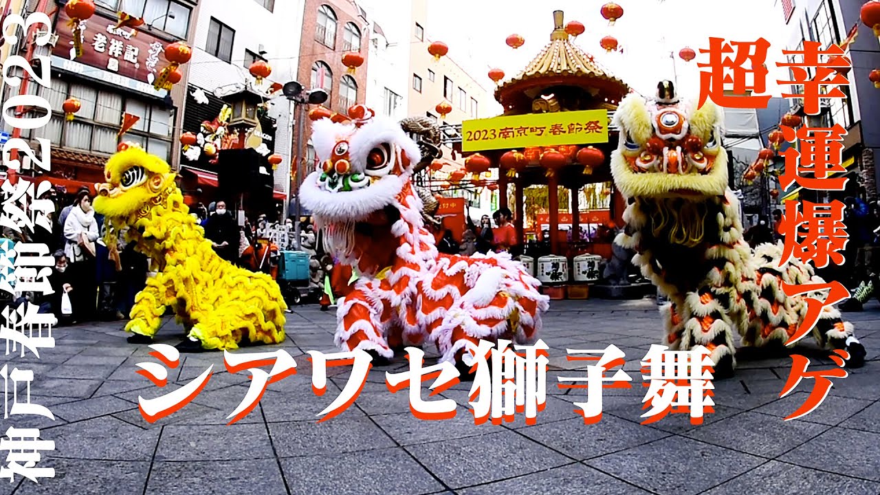 #CoolLionDanceSpectacleofLuckandHappiness幸運を運ぶシアワセ獅子舞#超幸運爆アゲ獅子#神戸市立神港橘高等学校龍獅団#神戸春節祭2023