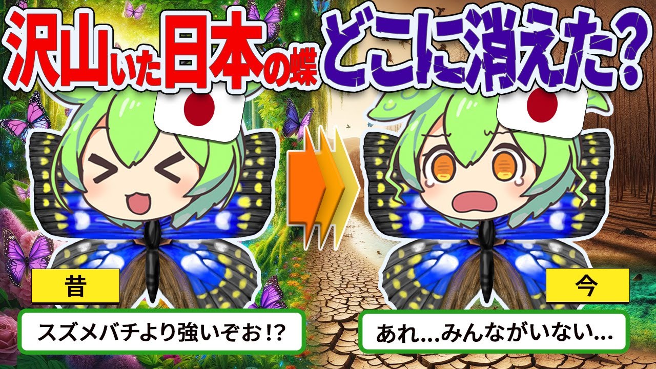最強の蝶オオムラサキはなぜ日本から姿を消したのか？【ずんだもん ゆっくり解説】
