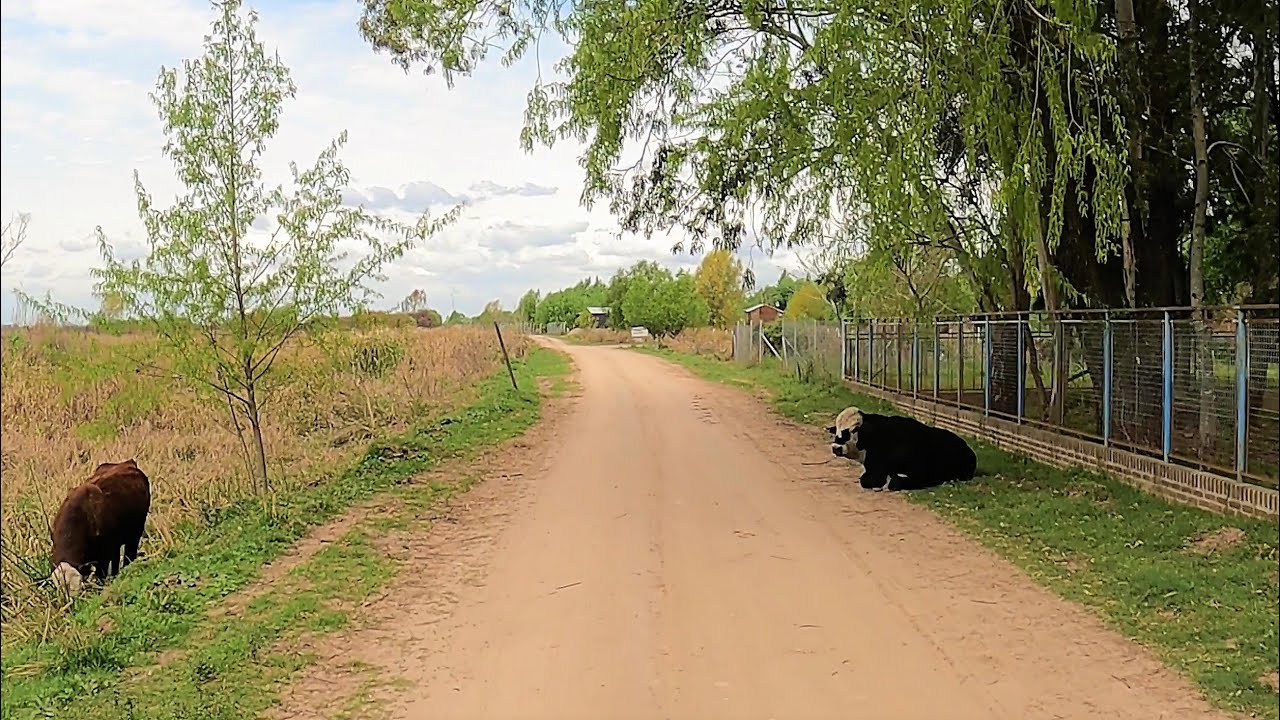 【4K】IBICUY por el CAMINO de los Campings al lado del Río #Driving TOUR 2021- ENTRE RÍOS - ARGENTINA