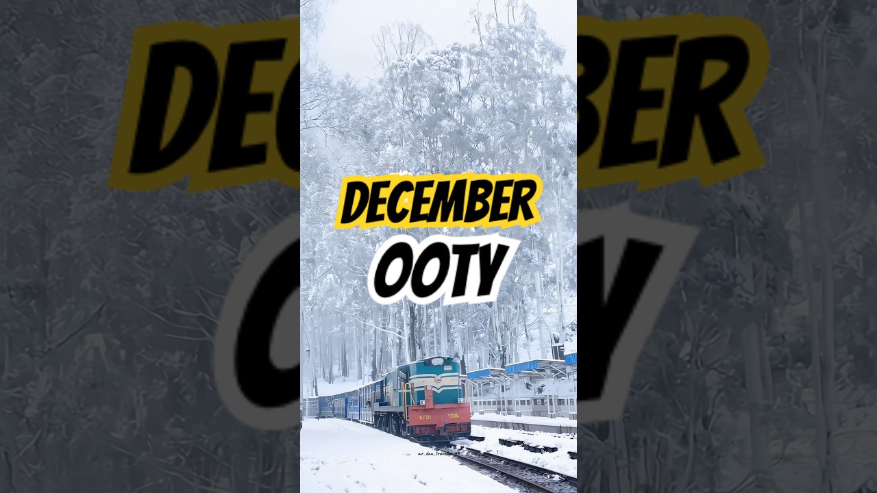 December in ooty🍃🌎.                           #trendingvideo #trendingshorts #nature