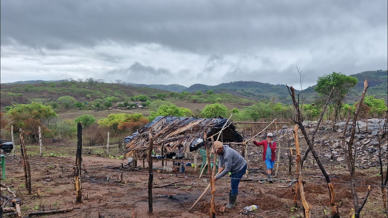 agricultor mosta seu roçado e o  cultivo de feijão de corda na caatinga 19.02.2026 