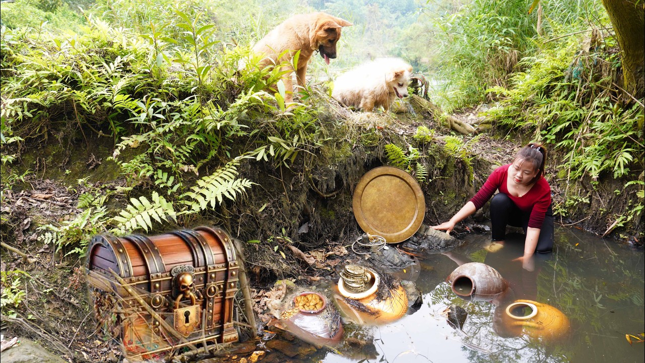 The Girl Accidentally Found Huge Ancient Coins Dating Back 300 Years on the Riverbank.