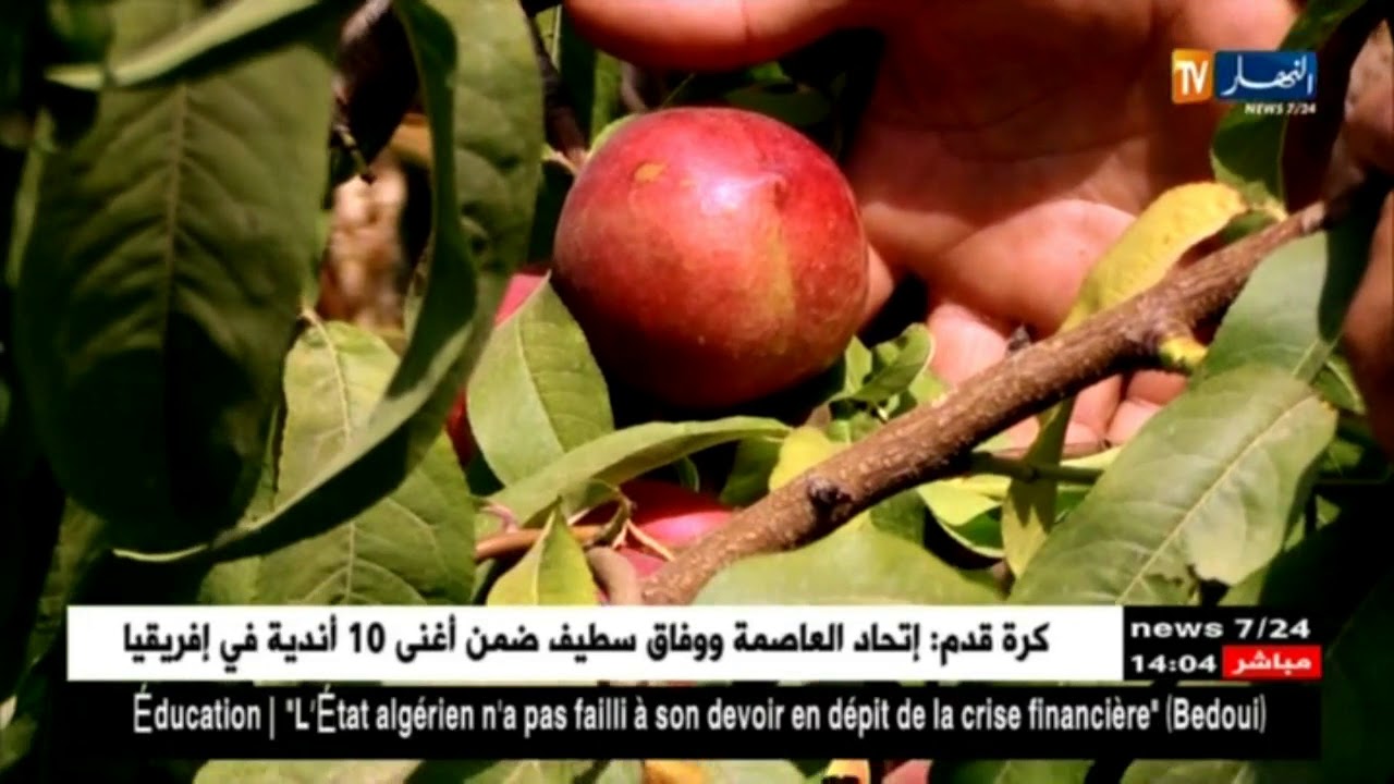 فلاحة/ الخوخ والنكتارين.. فلاحون يرفعون التحدي