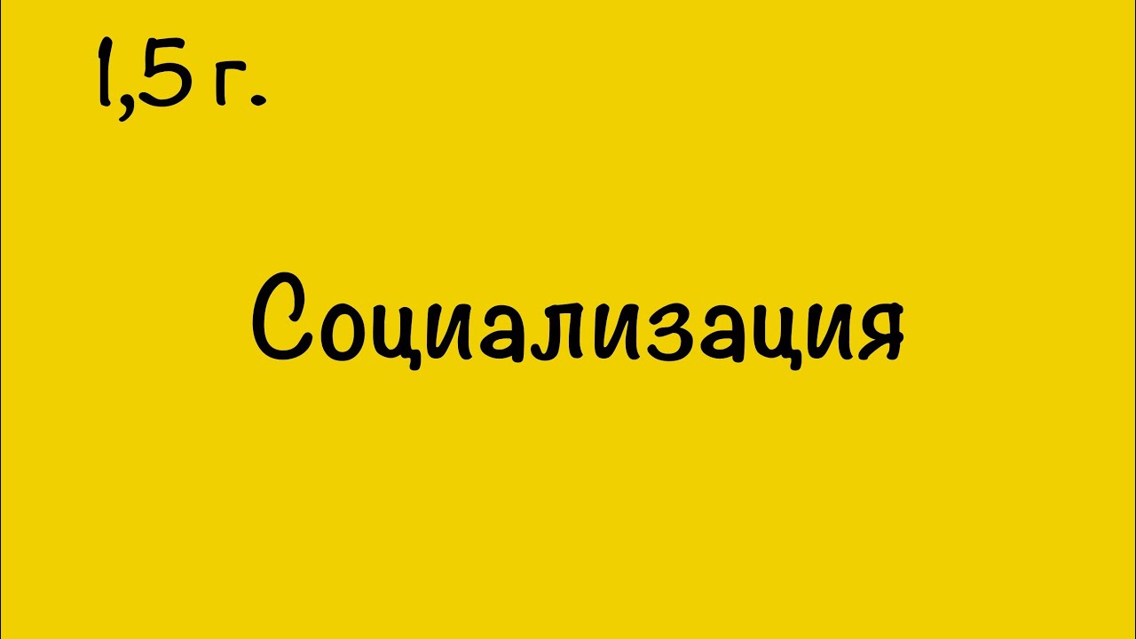 СОЦИАЛИЗАЦИЯ