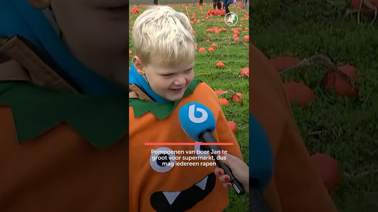 🎃 Pompoenen Valhalla | Pompoenen van boer Jan te groot voor supermarkt, iedereen mag rapen #pompoen