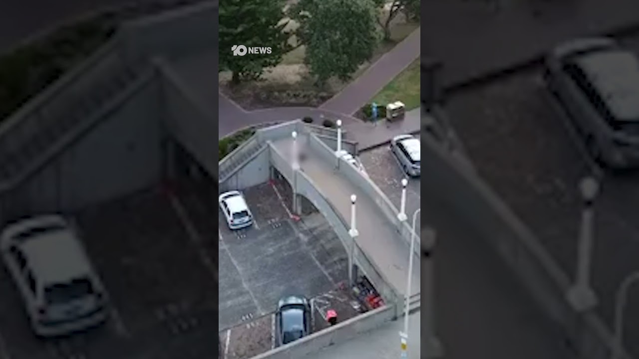 Drone Vision Shows Bondi Gunman | 10 News