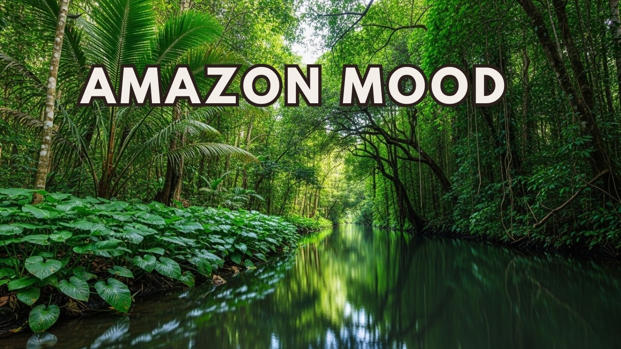 AMAZON MOOD – Brazil Rainforest for Deep Focus