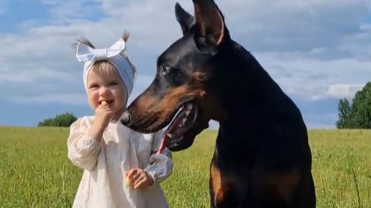 Doberman's Reaction to Meeting Baby Sister Leaves Family in Tears