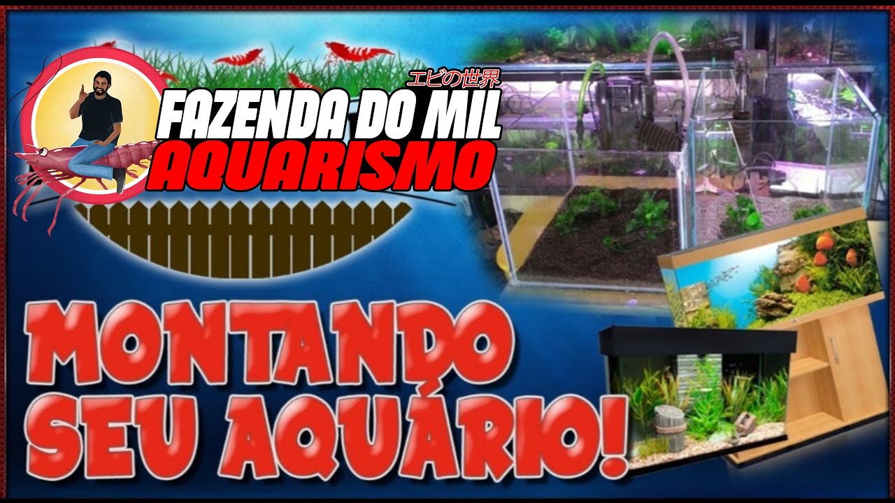 MONTAGEM DE AQUÁRIOS PARA CAMARÕES