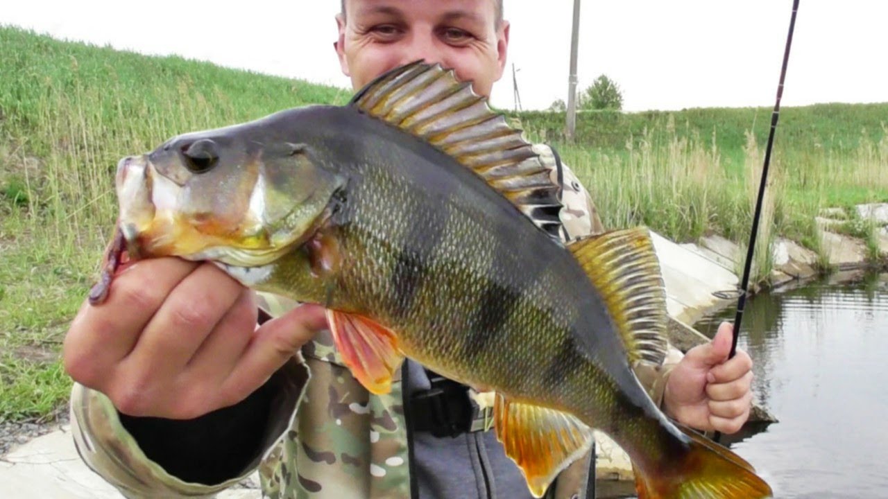 Ведро и садок забиты рыбой. Хорошо что взял кукан. Открытие рыбалки, состоялось!!!