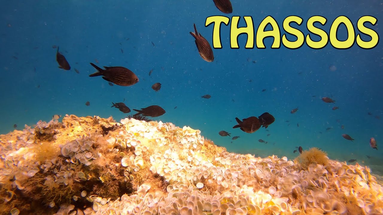 Snorkeling on Thassos 2020