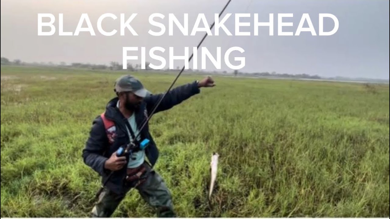 #shaik thayab fishing 🎣||video||back to back fishing 🎣||subscribe for more video||🐟👍