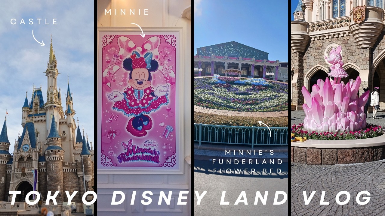 8年ぶりの‼東京ディズニーランド‼DisneyLand Vlog